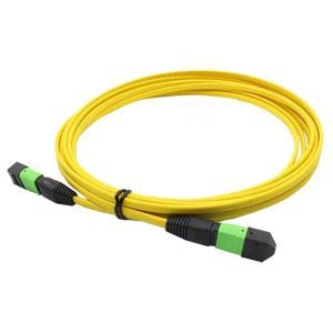 Cáp vá Ethernet patchcord MTP OS2 OFNP Female Elite